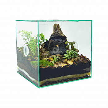 PLANTCUBE - Vivarium 30x30x30 Biochorion Bundle